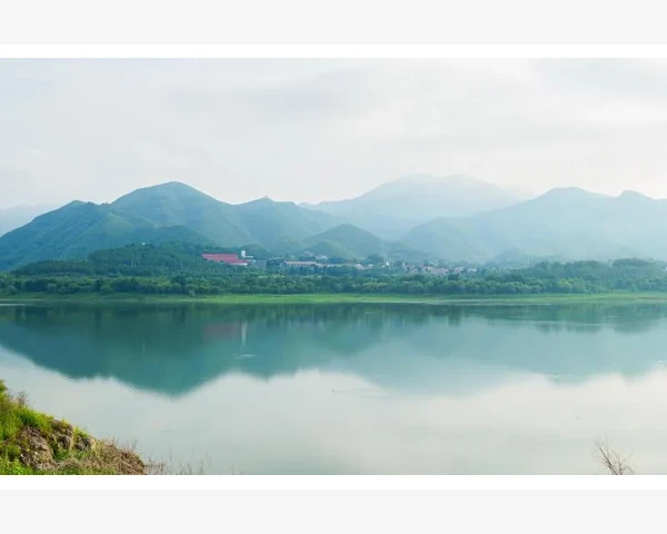 胸闷，中医药方剂治疗之路