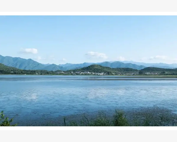 年终分红会计分录实务操作全流程